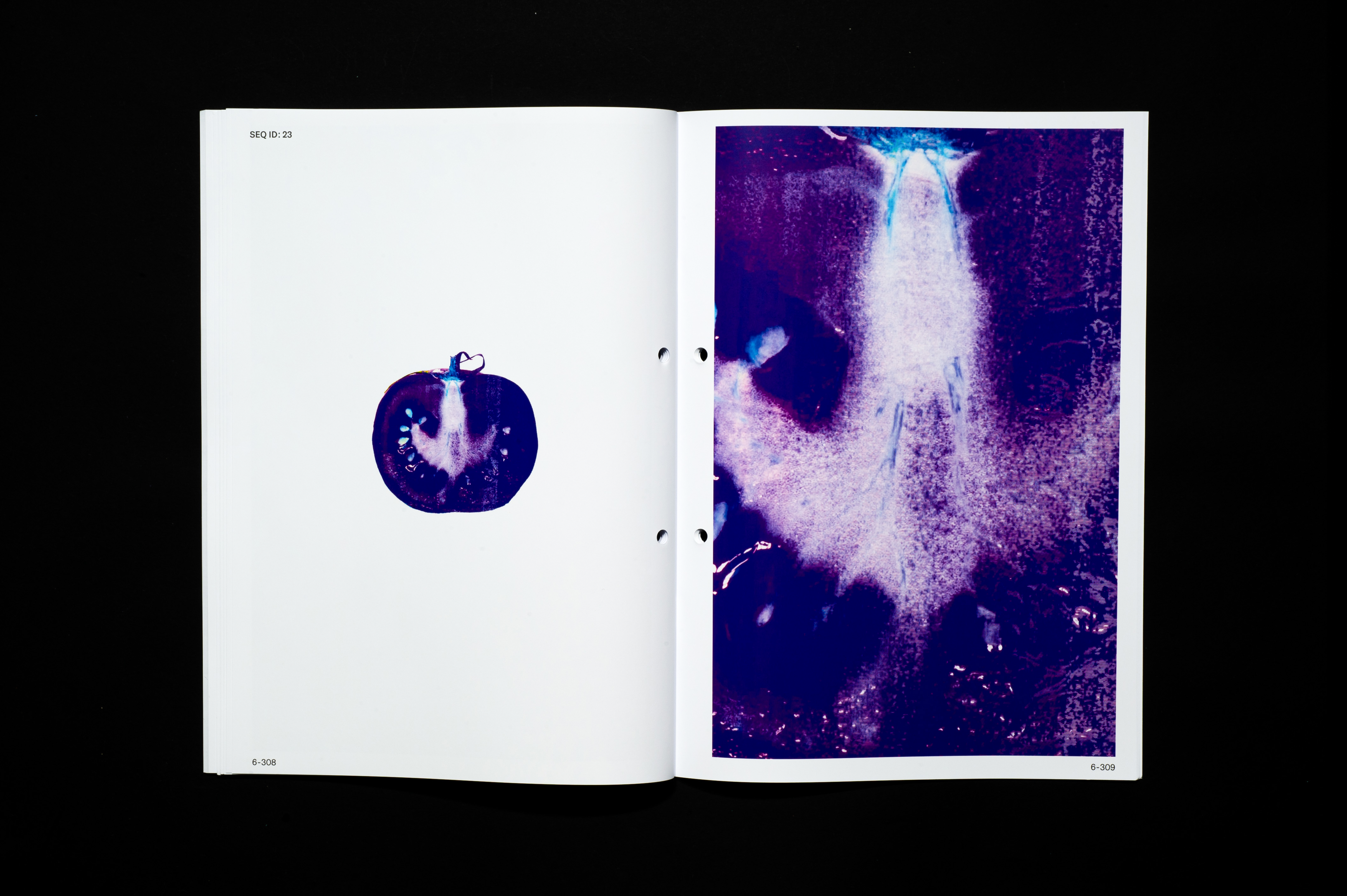Editorial image 9