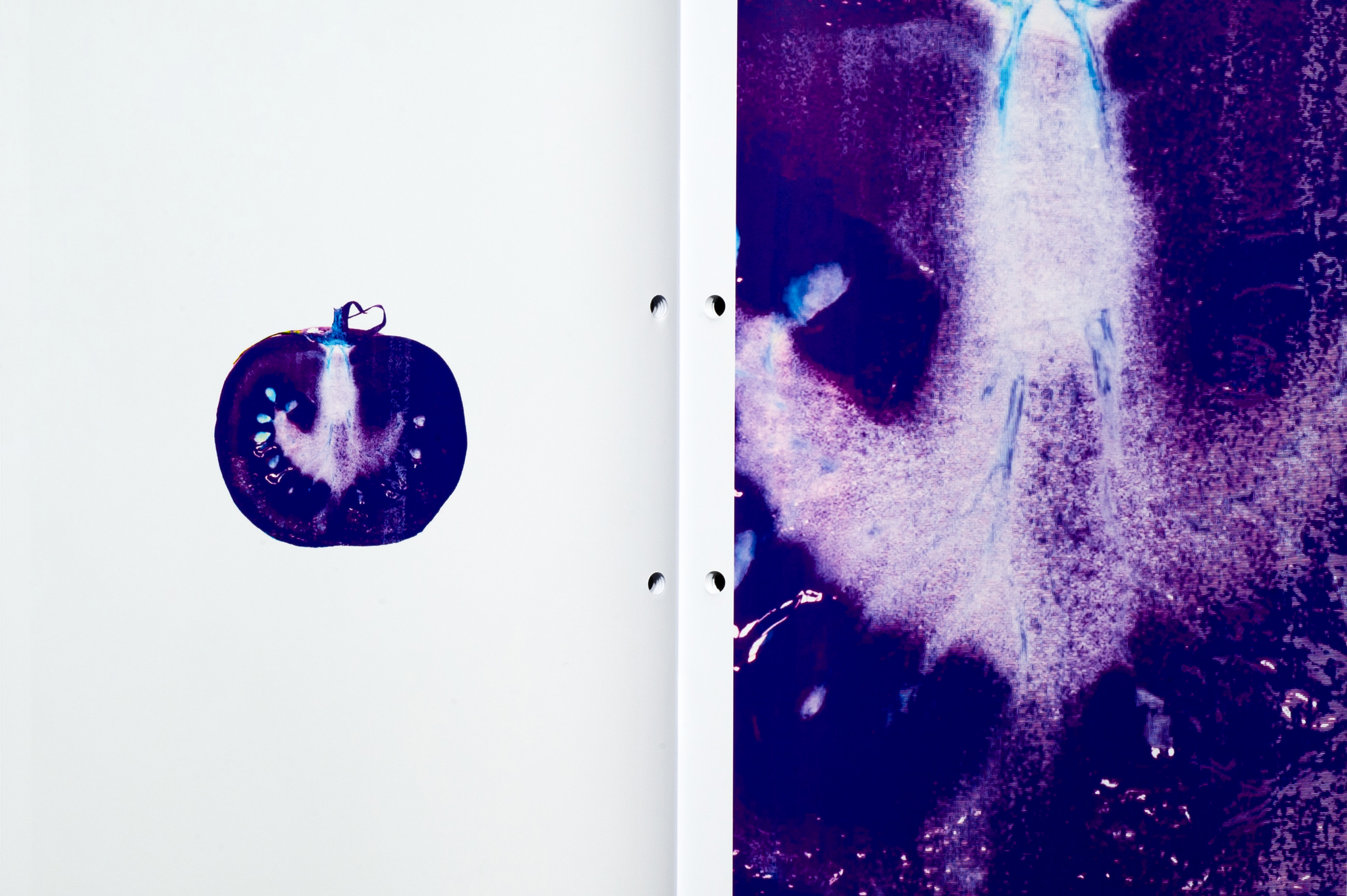 Editorial image 10